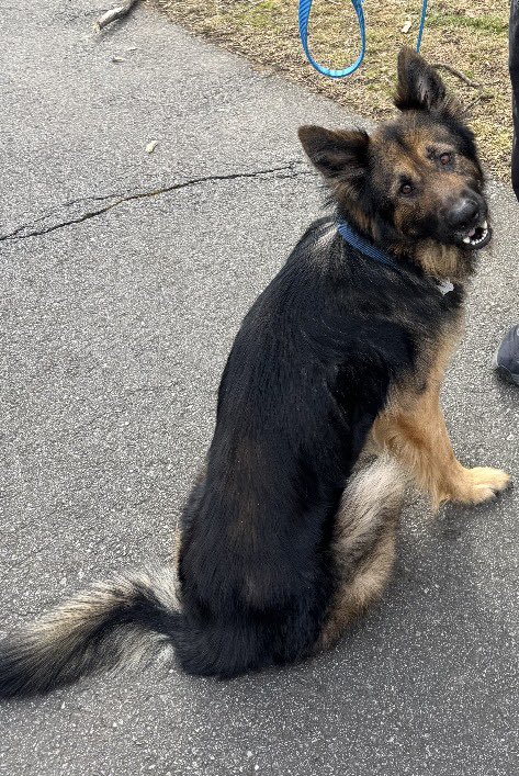 Pffft2 🇺🇸🔥 tweet media