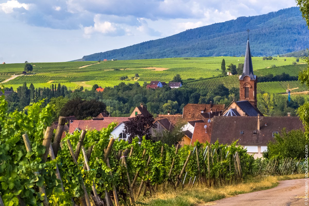 Alsace's tweet image. Reposant sur le flanc sud de la colline de Mittelbergheim qui culmine à 320 m, le Grand Cru Zotzenberg bénéficie d’un ensoleillement privilégié. 
bit.ly/zotzenberg-als… #Alsace
L’abus d’alcool est dangereux pour la santé, à consommer avec modération.