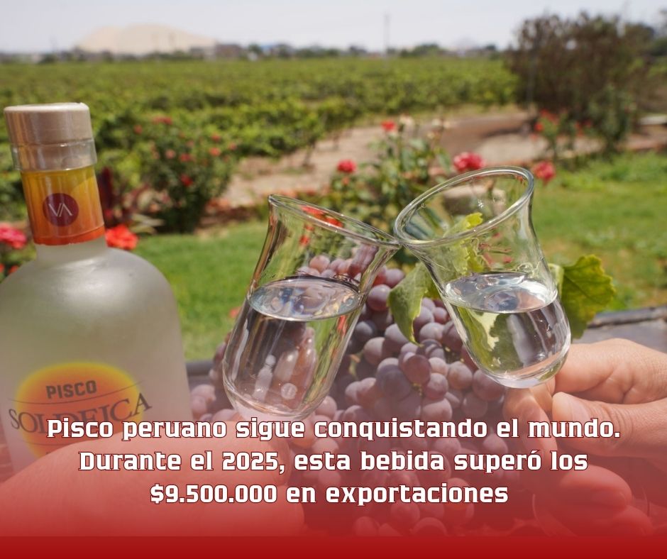 La exportación de pisco peruano mantuvo un desempeño positivo en el 2025 al alcanzar $9 503 000, lo que representa un crecimiento de 12 % en comparación con el 2024, cuando sumó $8 489 000. Los principales destinos fueron Estados Unidos, España y Países Bajos.