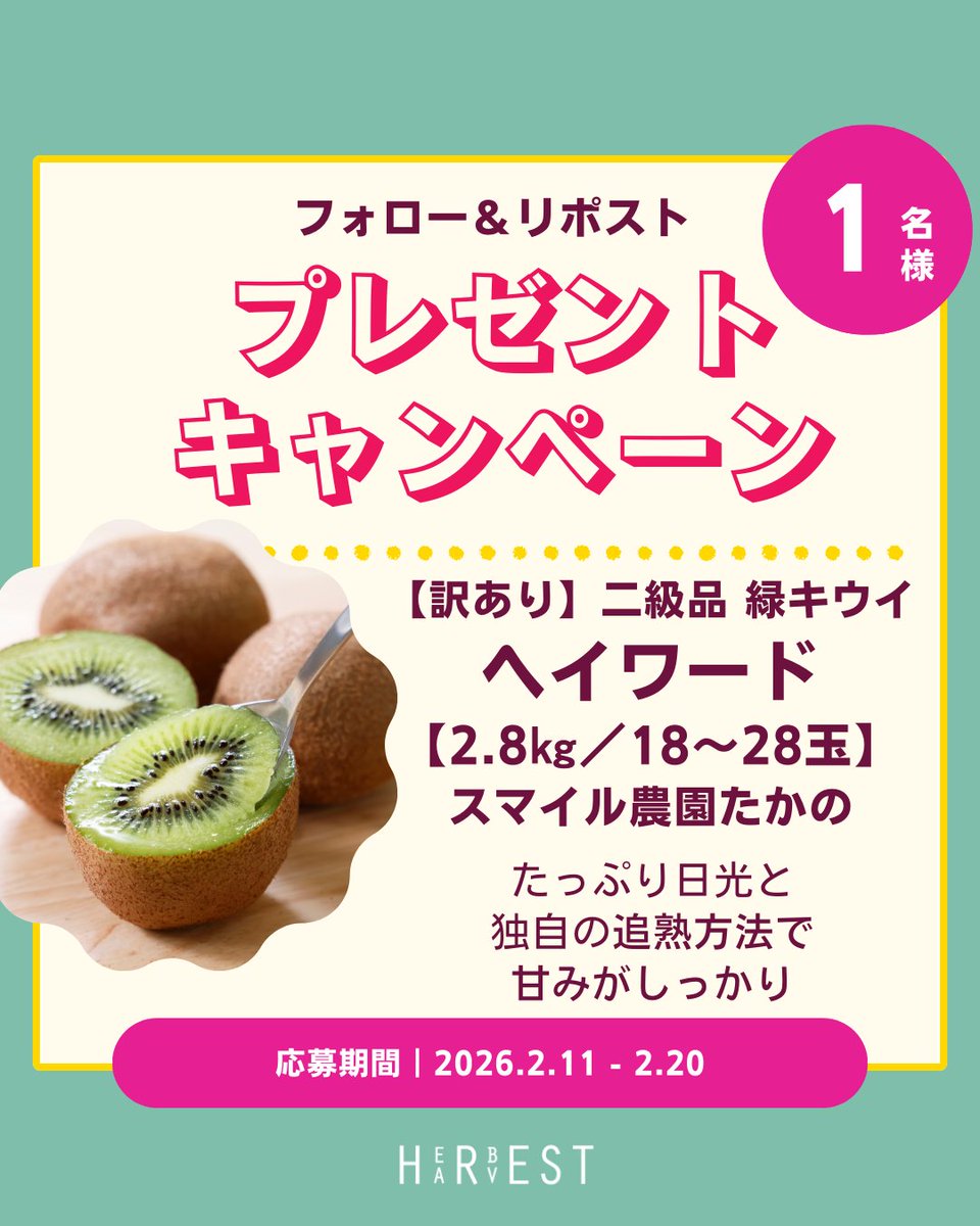 🥝 フォロー＆リポストでプレゼント 🎁
【1名様】

【訳あり】二級品
緑キウイ「ヘイワード」
〈2.8kg／18〜28玉〉✨
🍃 スマイル農園たかの 🍃

試行の末に見つけた
独自の追熟方法で
甘みをしっかりのせて
 食べごろでお届けします。

＼応募／
① フォロー
② リポスト🔁

🗓 締切：2月20日まで