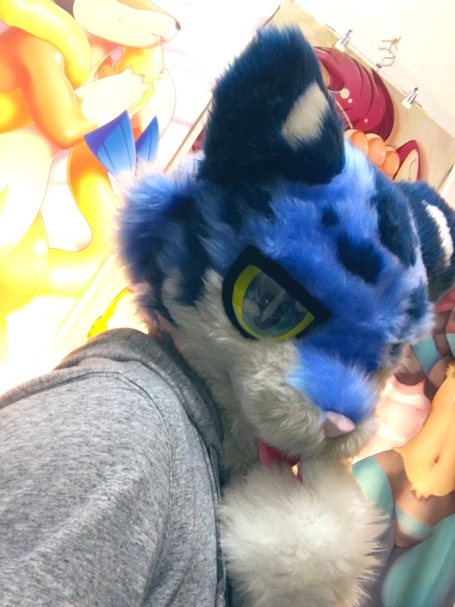 Post by Choco 🌐 on X: ととちゃ