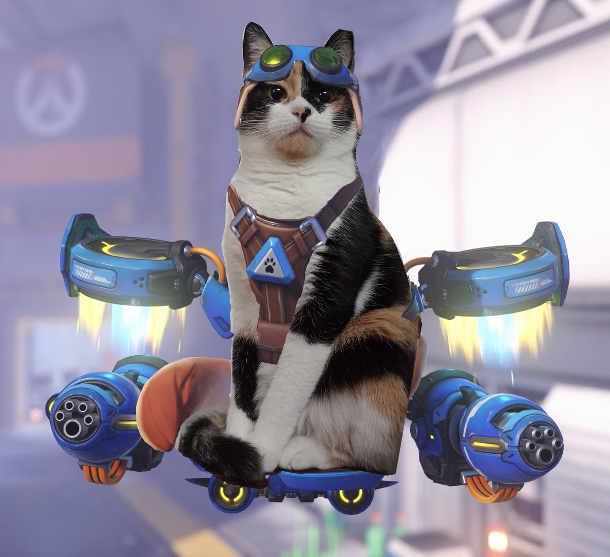 Hice a la Tapioca como Jetpack Cat ww