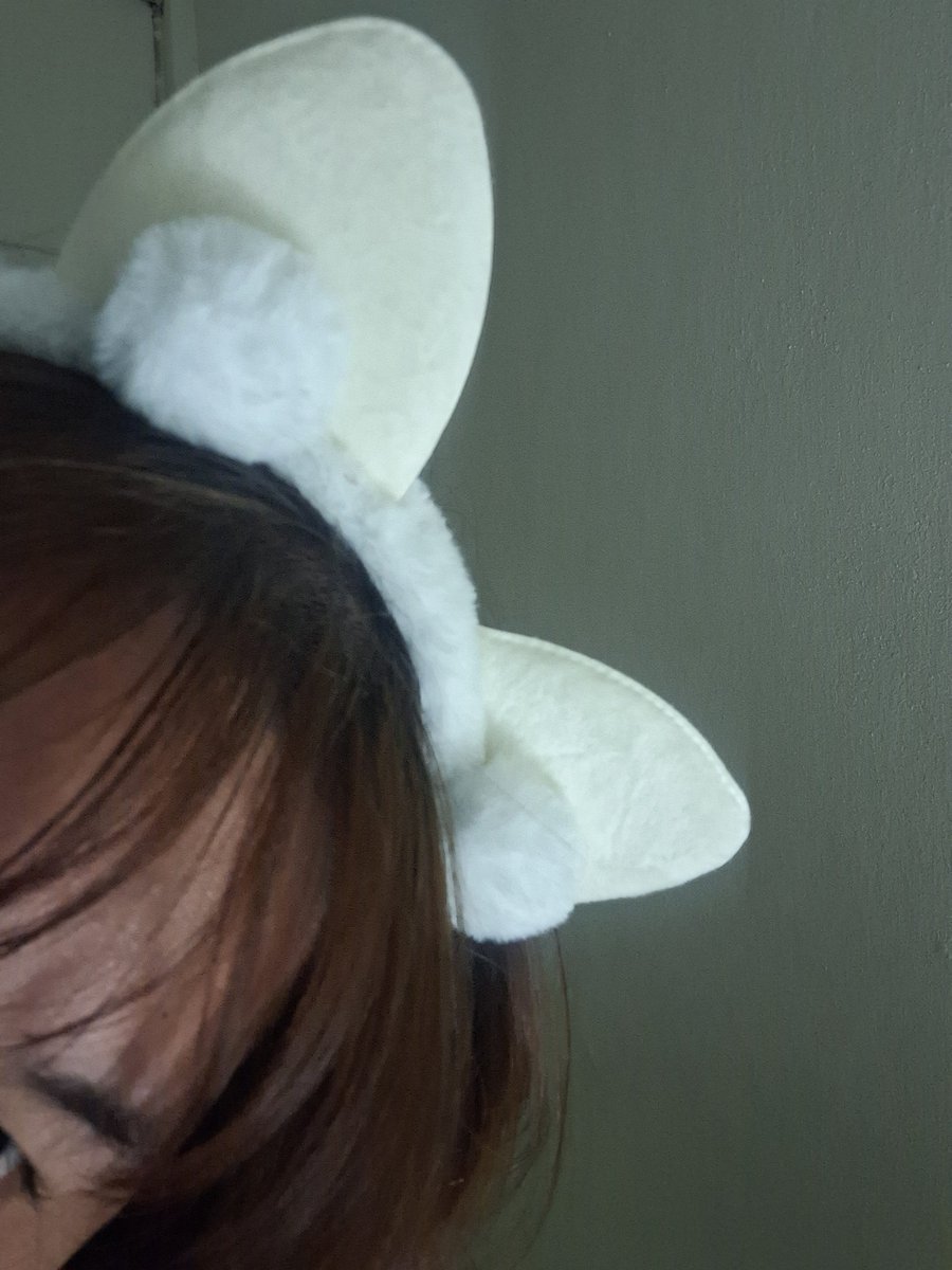 joymemai's tweet photo. Meow~~😽 https://t.co/2v1q2qOkai