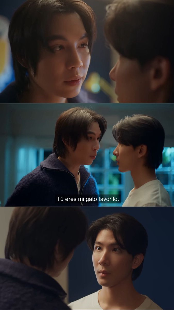 🐈‍⬛🐈 #CatForCash #CatForCashEP4