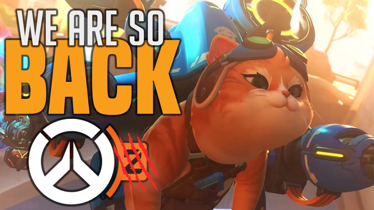 Bailable tweet media