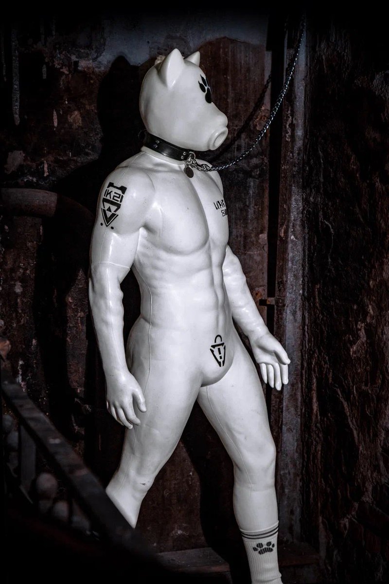 🐾 𝕄𝕒𝕩 𝕡𝕦𝕡 🐾 MlatexM tweet media