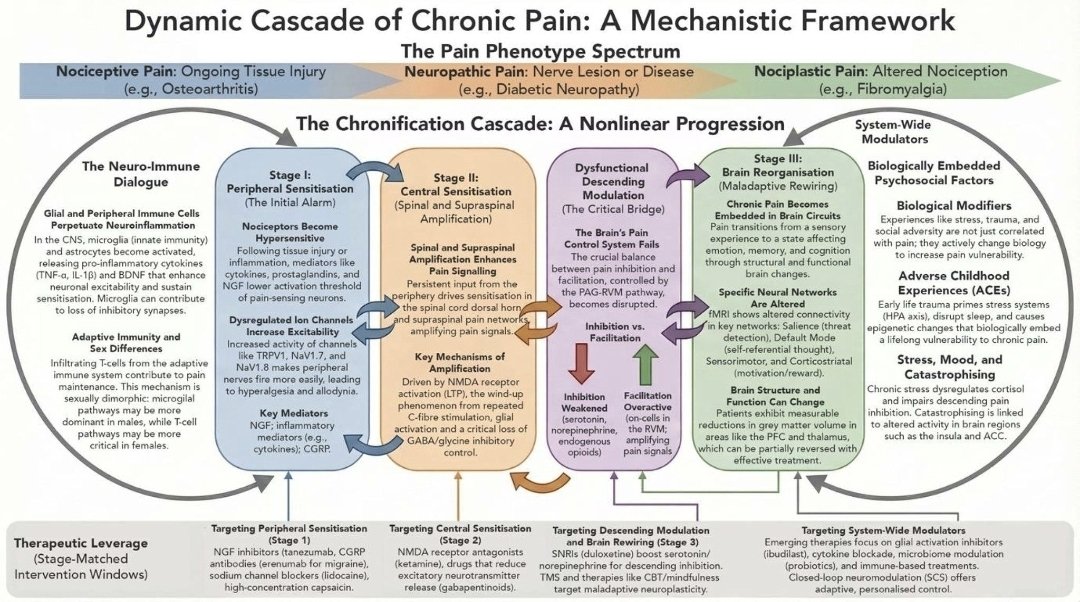 Roberto Cortés tweet media