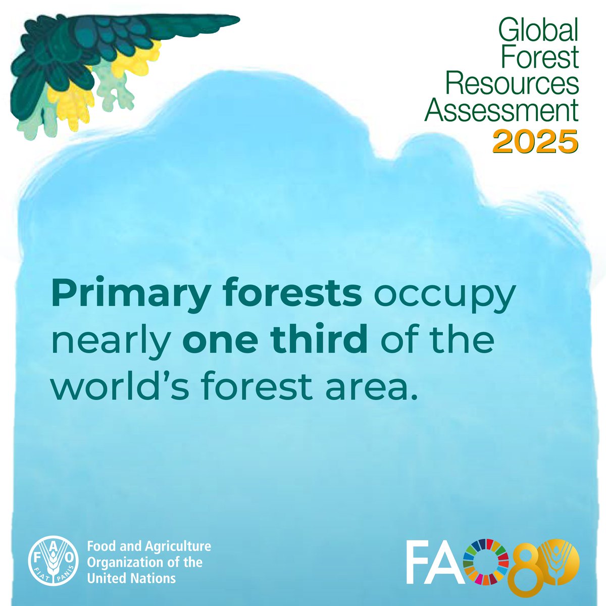Primary forests cover at least 1.18 billion hectares (29% of the total forest area), but were lost at a rate of 1.61 million hectares per year between 2015 &amp; 2025.

More on the world’s forests in <a href="/FAO/">Food and Agriculture Organization</a>’s Global Forest Resources Assessment 2025 👉 bit.ly/GFRA2025

#FRA2025