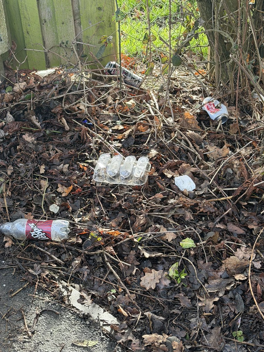 Chris Davis tweet media