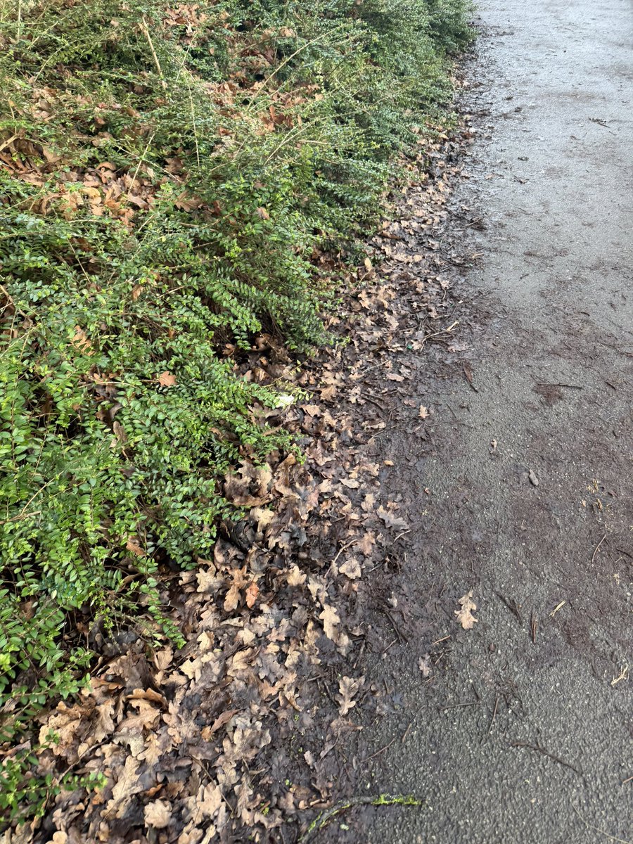 Chris Davis tweet media