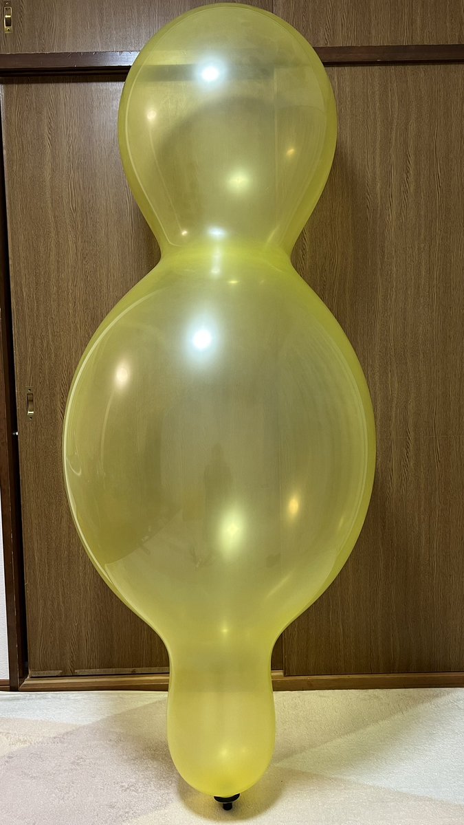 ドール先生 tweet media