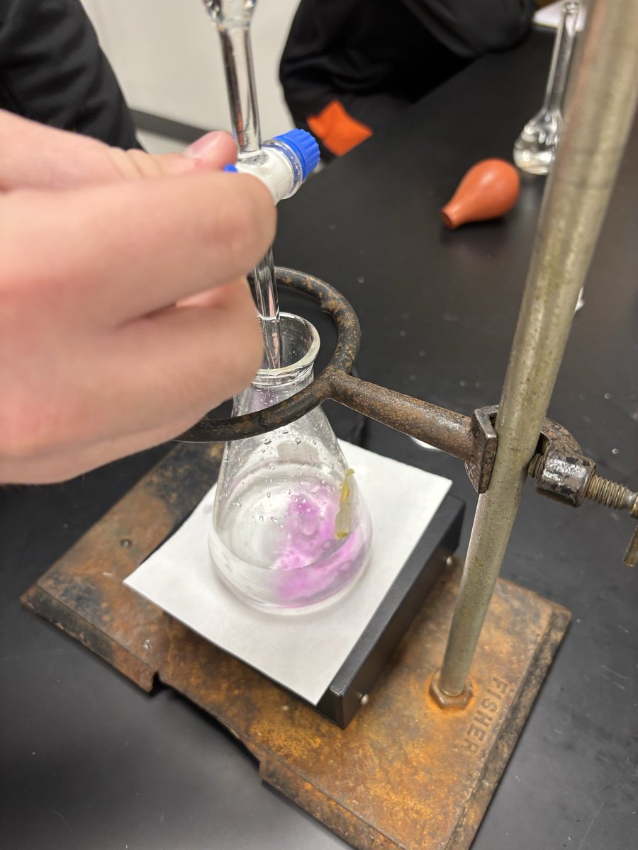 Todd Hollis tweet media