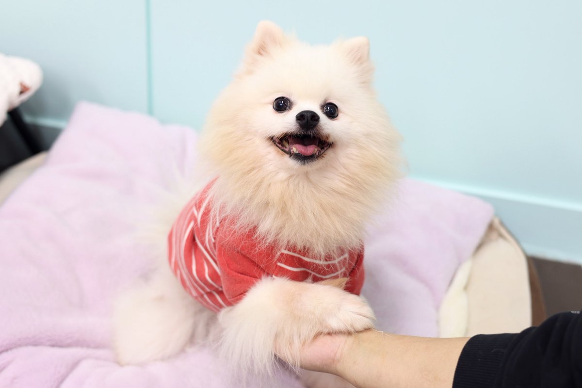 RÉCORD 레코드 tweet media