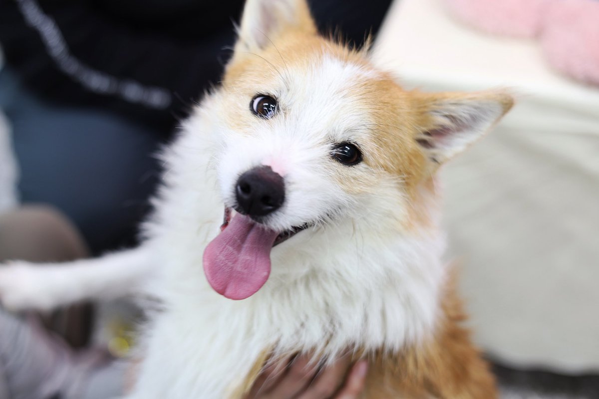 RÉCORD 레코드 tweet media