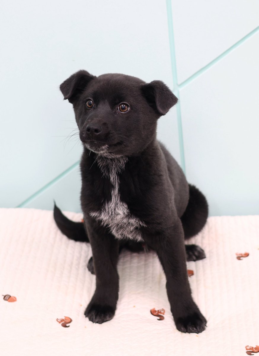 RÉCORD 레코드 tweet media