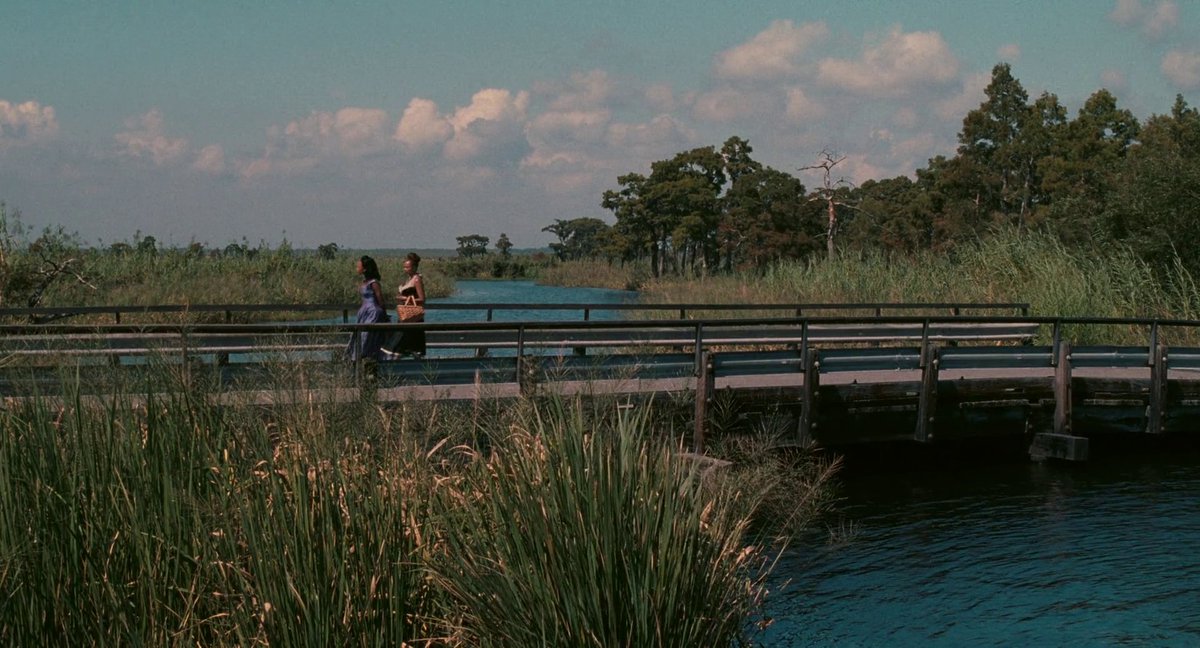 Sasha_Screens's tweet image. gorgeous movie, so evocative of a time and a place, almost like a southern gothic noir, exploring memories and childhood and family secrets. an added flavor of magical realism is such a great touch, too. and what a cast, such strong and tender performances from all the ladies.