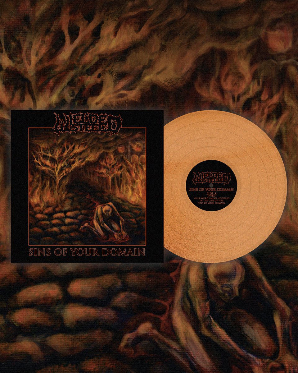 1126 Records tweet media