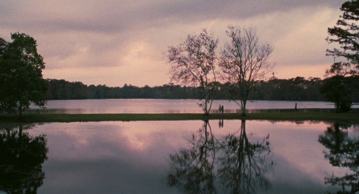 Sasha_Screens's tweet image. gorgeous movie, so evocative of a time and a place, almost like a southern gothic noir, exploring memories and childhood and family secrets. an added flavor of magical realism is such a great touch, too. and what a cast, such strong and tender performances from all the ladies.