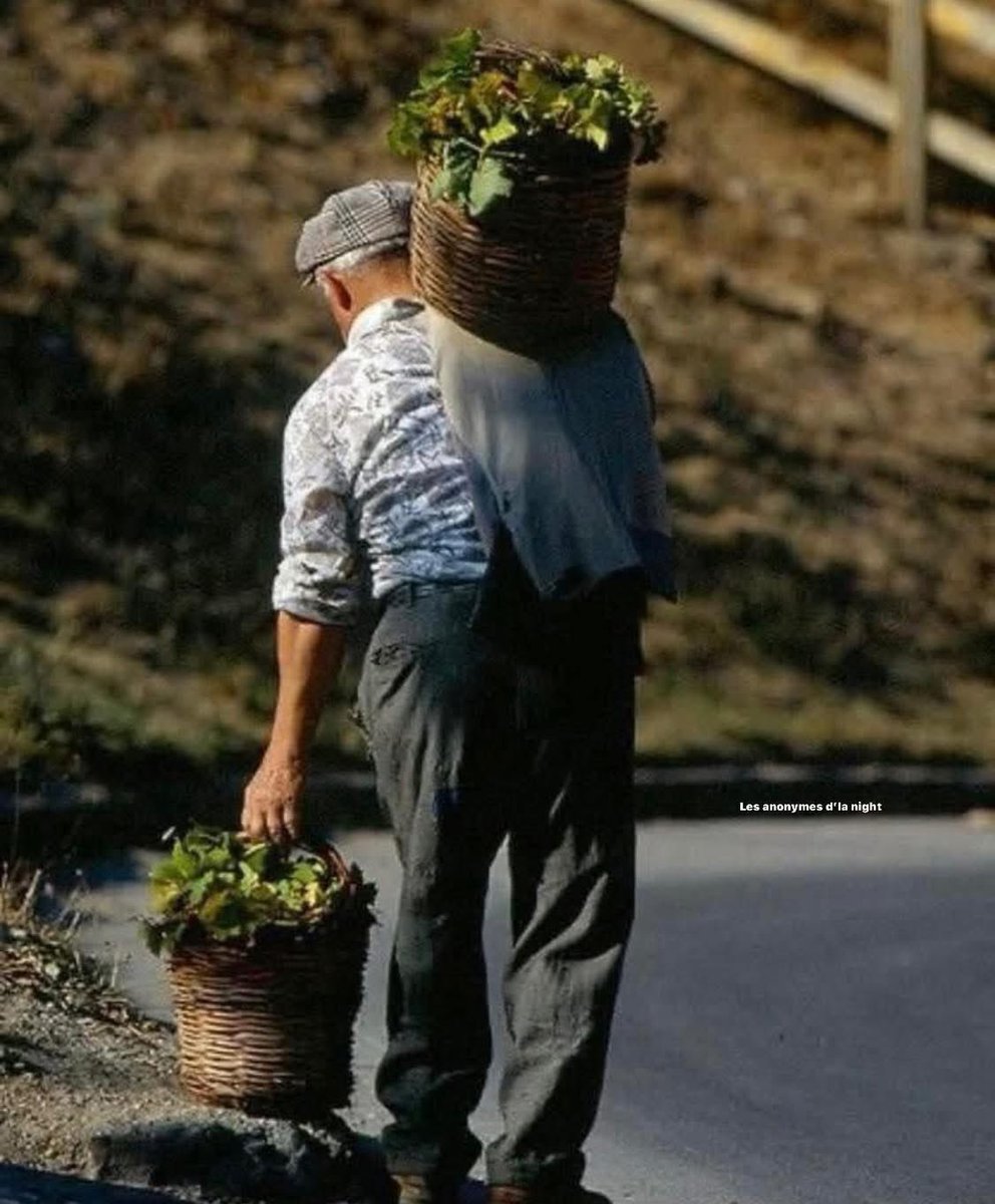 veritebeaute's tweet image. Je marchais avec mon père un jour, et soudain, il s’est arrêté à un virage. Après un court moment de silence, il m’a demandé :
« En plus du chant des oiseaux, entends-tu autre chose ? »
J’ai tendu l’oreille et, après quelques secondes, j’ai répondu :
« Oui, le bruit d’un chariot.…