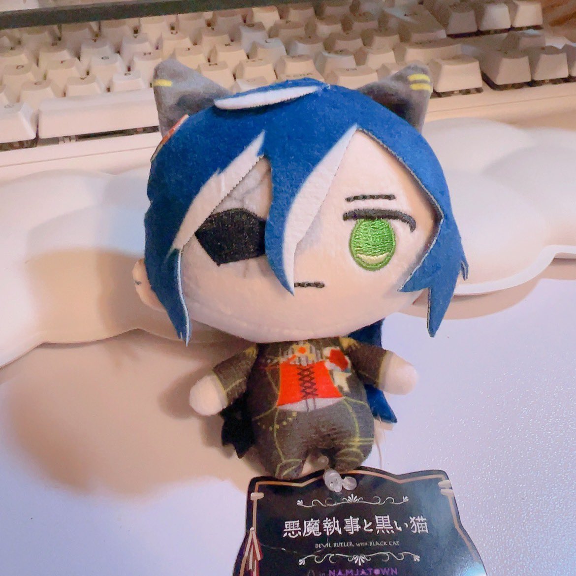 クレーンで初めて取れた😭😭😭😭😭ようこそ……