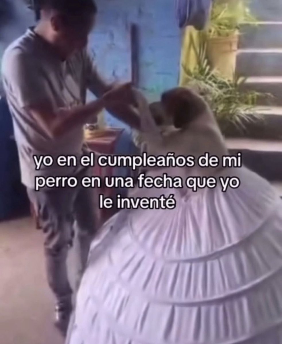 Lomitos Suavecitos (@suaveslomitos) on Twitter photo 