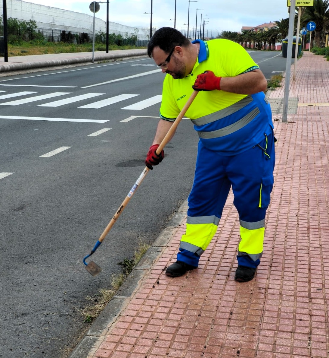 ¡Hoy ha sido el turno para la zona de Melenara!📍

En el día de hoy, el equipo de limpieza ha estado realizando labores de deshierbe en Costa Jardín.🌿

#reciclaje #limpiezaviaria