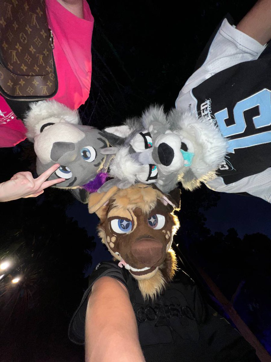 BuckyODD 🔜 FURDU 2026 tweet media