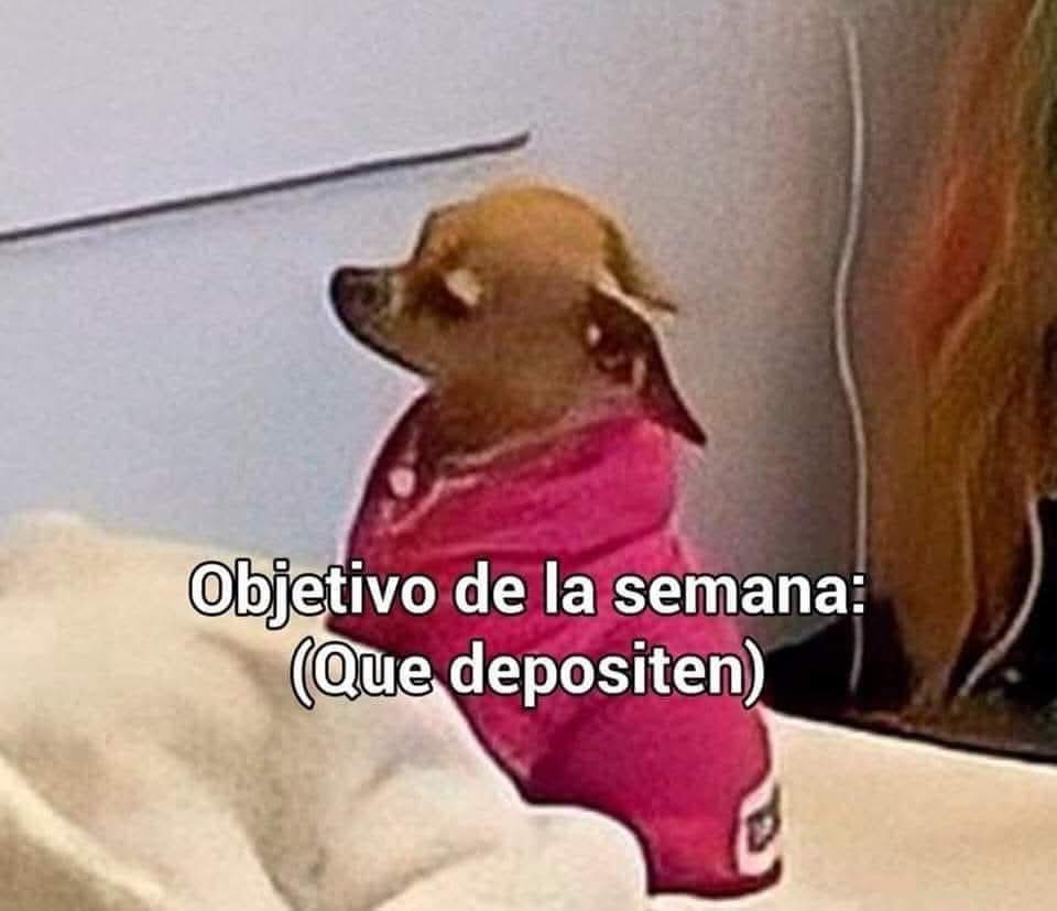 Playdoit México tweet media