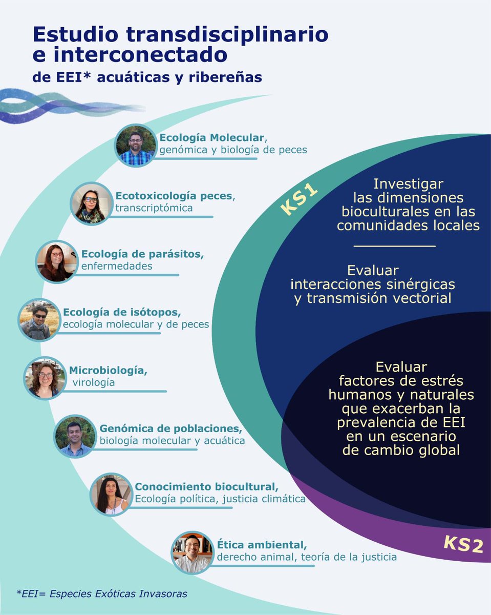 Centro IRIS tweet media