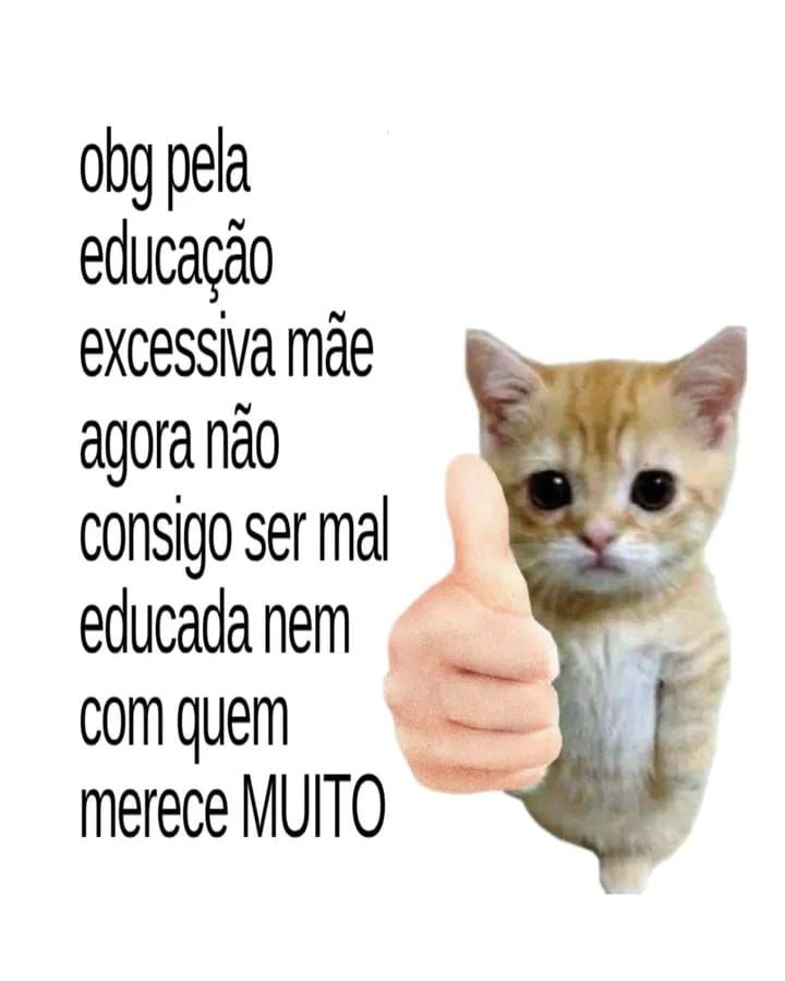 perfil dedicado a gatinhos e peitos tweet media