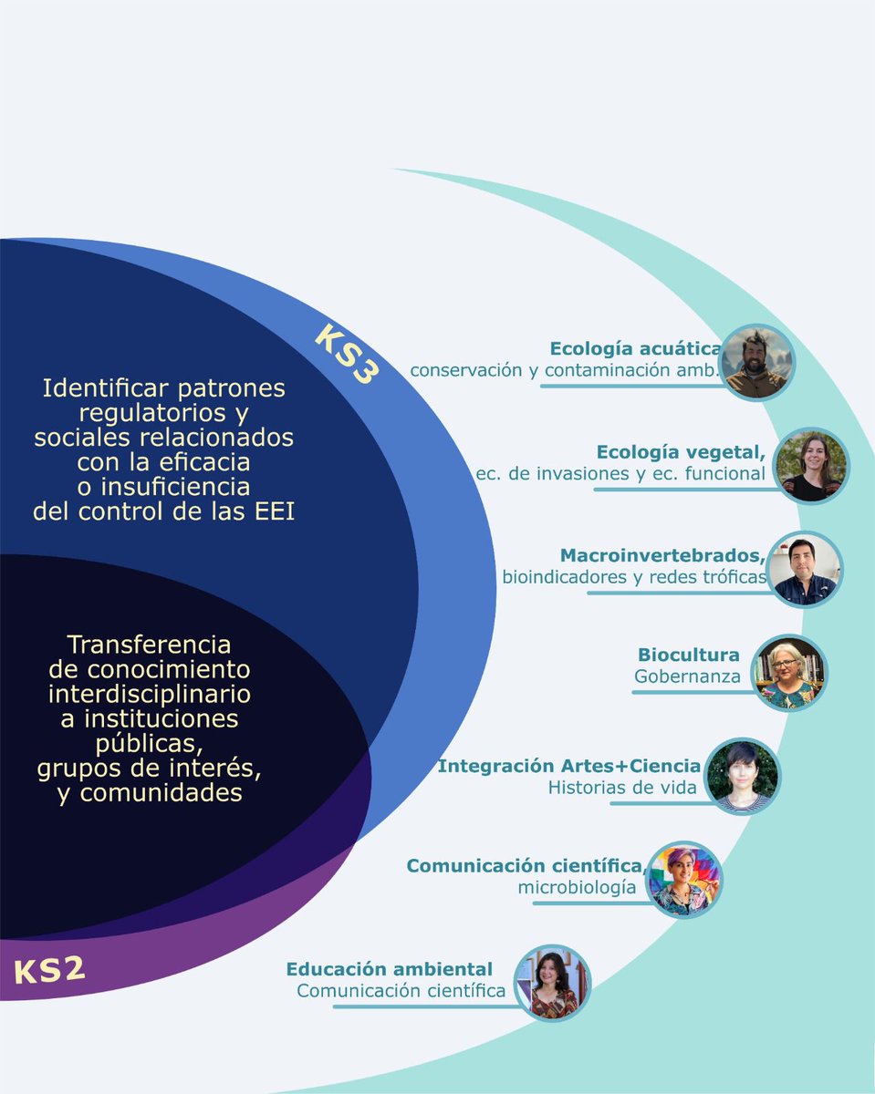 Centro IRIS tweet media