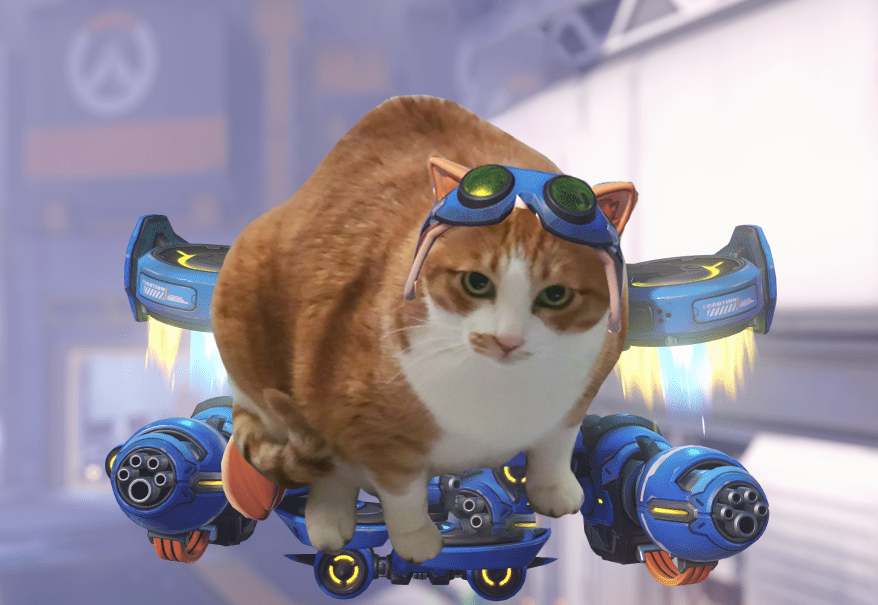 뚱뚱해서 장비가 못 버틸 것 같은데