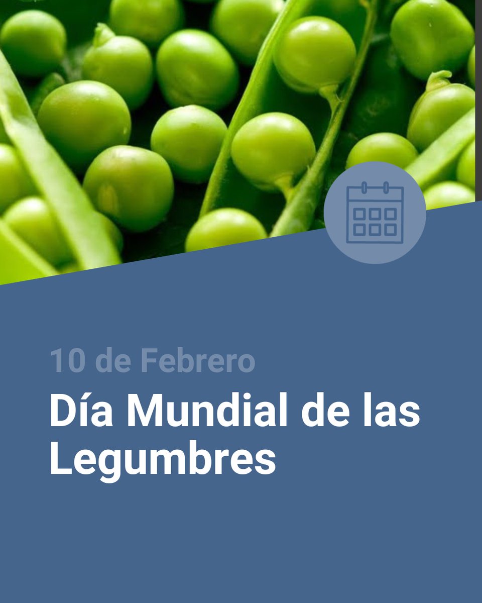 INTA Santa Fe tweet media