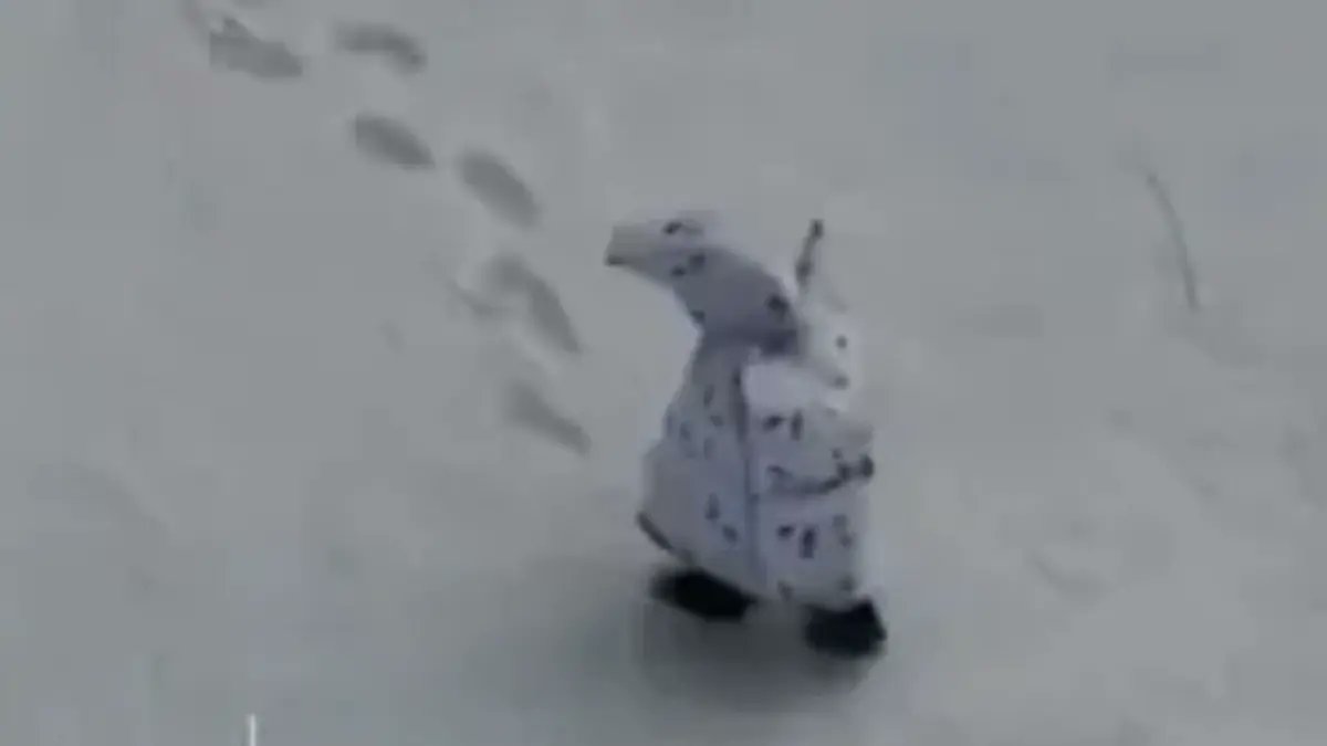 Russia's new winter camo: Penguin suits! 🐧 Because nothing screams 'stealth' like waddling slowly in plain sight while drones line up for target practice. Bizarre Buzz exclusive fail! 🤦‍♂️🔥
#PenguinCamo #UkraineWar #BizarreBuzzNews