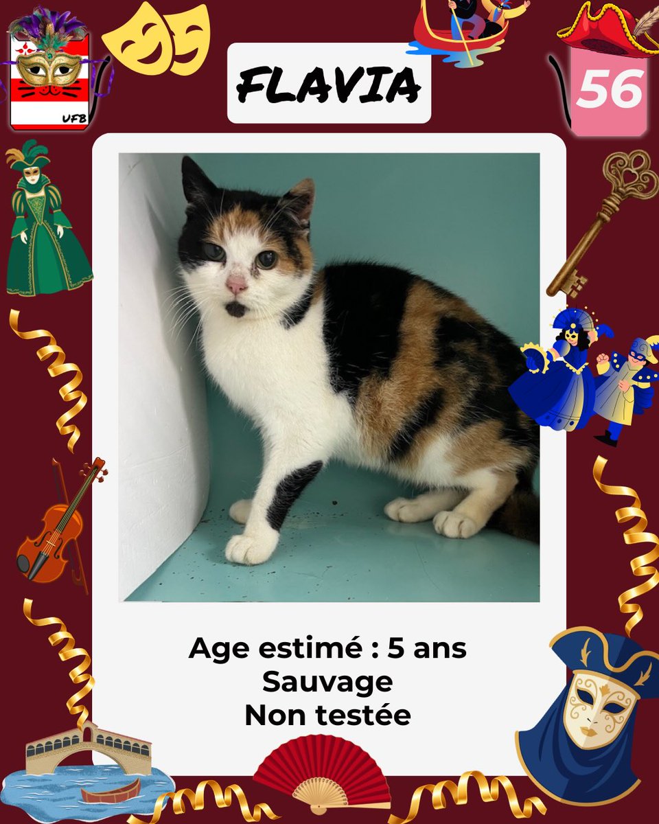 justine44 tweet media