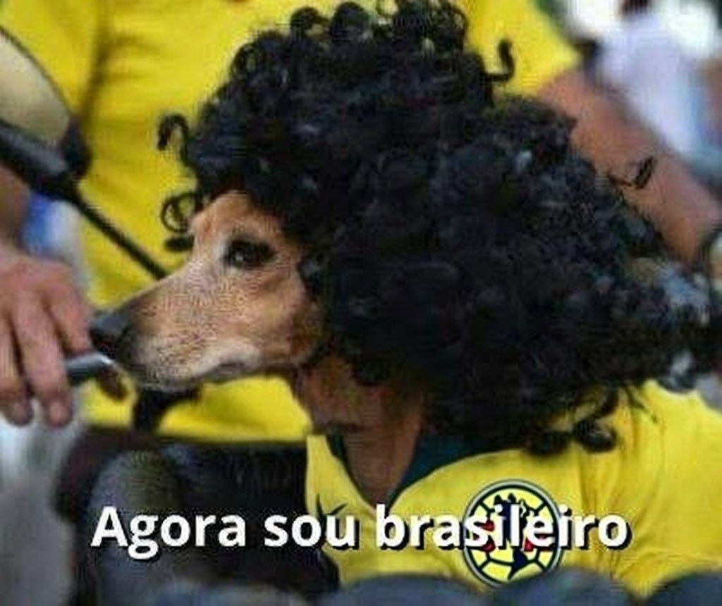 Fernando🦅🏆🏆🏆💛💙🇲🇽 (@fernandomx94) on Twitter photo 