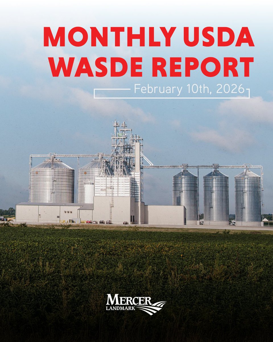 Mercer Landmark tweet media