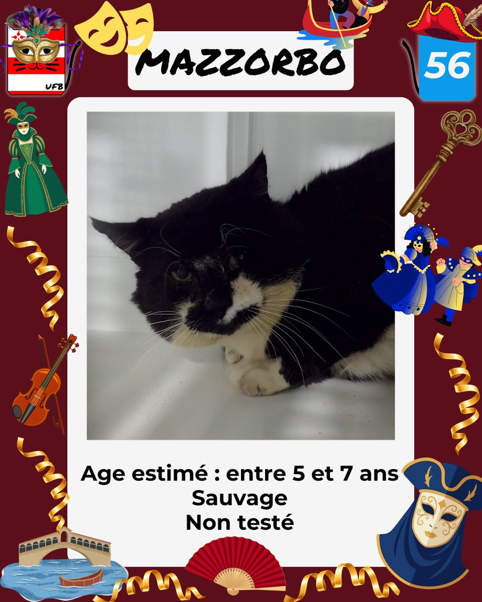 justine44 tweet media