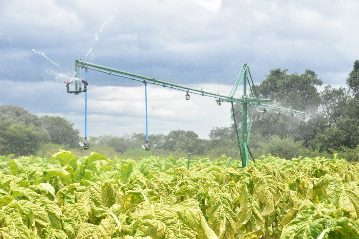 MinofLands,Agric,Fisheries,Water&Rural Development tweet media