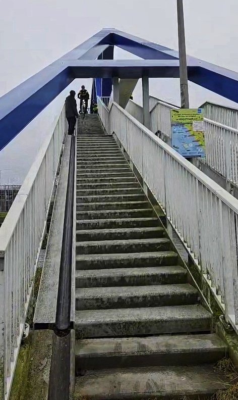 Milieu en dierenagent Leontine tweet media