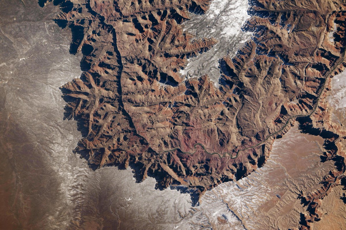 NASAEarth's tweet image. This is the Grand Canyon… So why does it look like mountains? 🤔

It’s a visual illusion! Most people expect the light source to come from the top of an image. But in this ISS astronaut photograph, the Sun is shining from the south (bottom in this image).