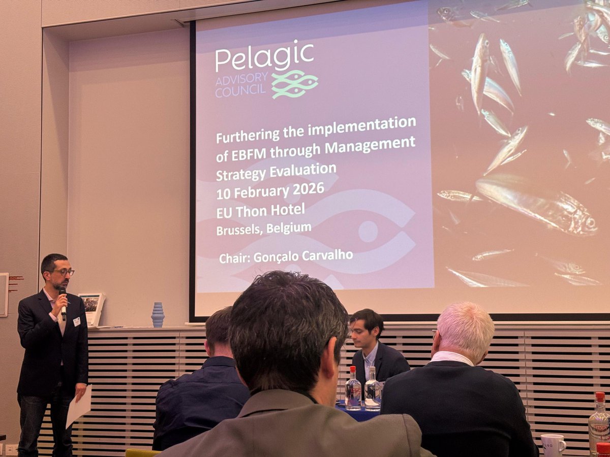 Irish Fish Producers Organisation (IFPO) tweet media