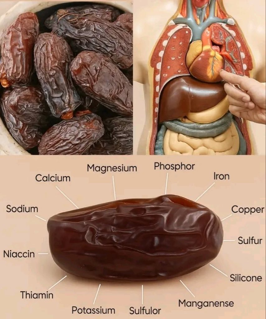HEALTHIEST FRUIT on Earth: A person can live with only dates and water...