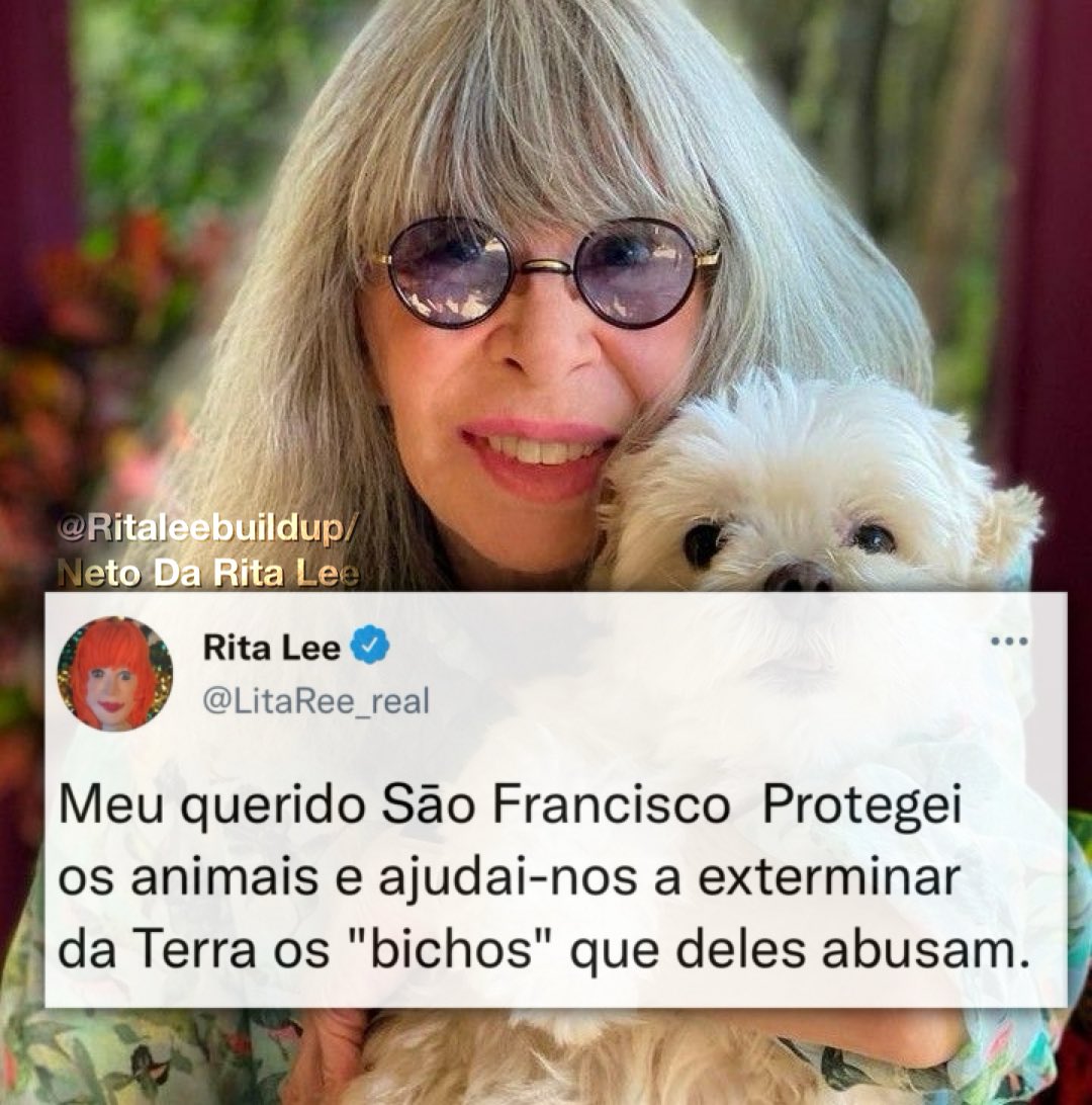 ritaleebuildup's tweet photo. Rita Lee via Tuitz 🙏🐾 https://t.co/wbjeViYwAS