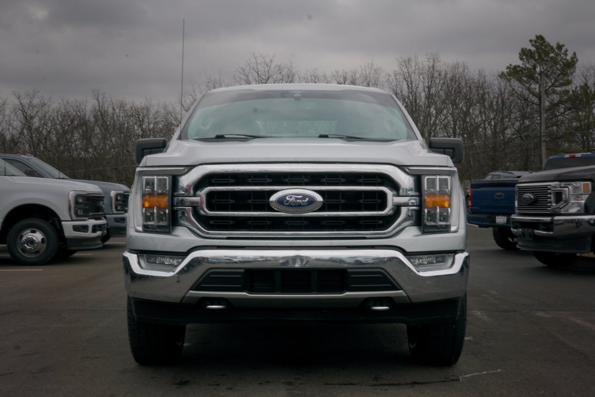 RedRiverFordAR's tweet photo. Fresh Trades Available! 

2021 Ford F-150 XLT: 107k miles
STK: D05110A

2022 Ram 1500 Bighorn: 68k miles
STK: F26251A

For more information:

🖥️ https://t.co/E8bUgOdeGx
📞 501-843-3536
📍 2040 West Main St. 
#forsale #fyp #dealer https://t.co/0ssmg7Fw5m