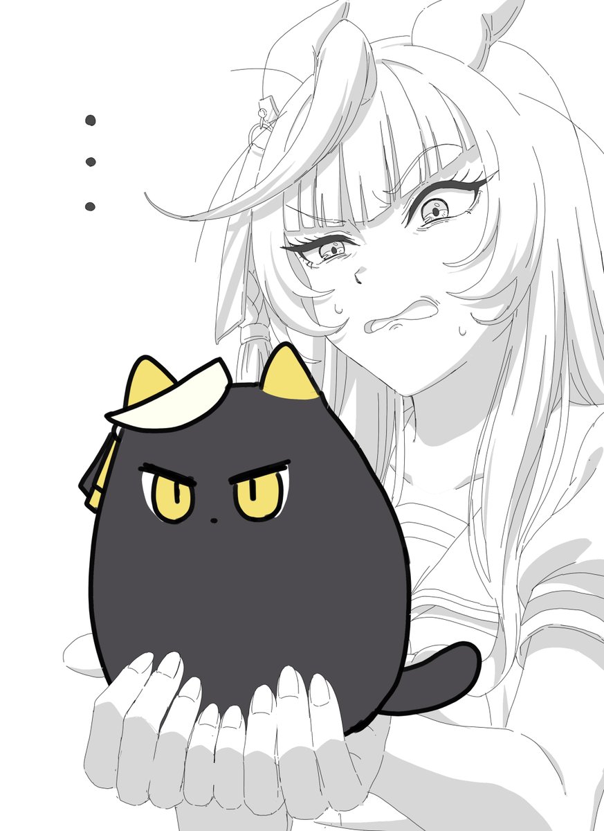 アッキー(二代目) (@kusakari27) / Posts / X