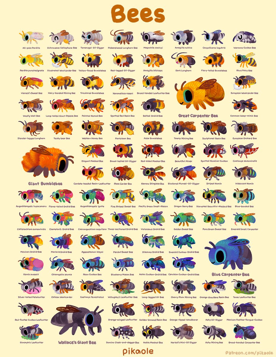 pikaole's tweet image. Bees 🐝