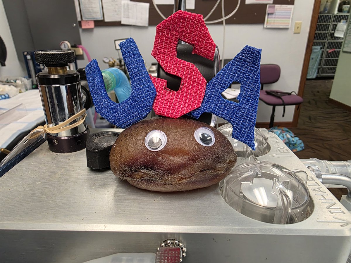 Bryan Langlois, DVM tweet media