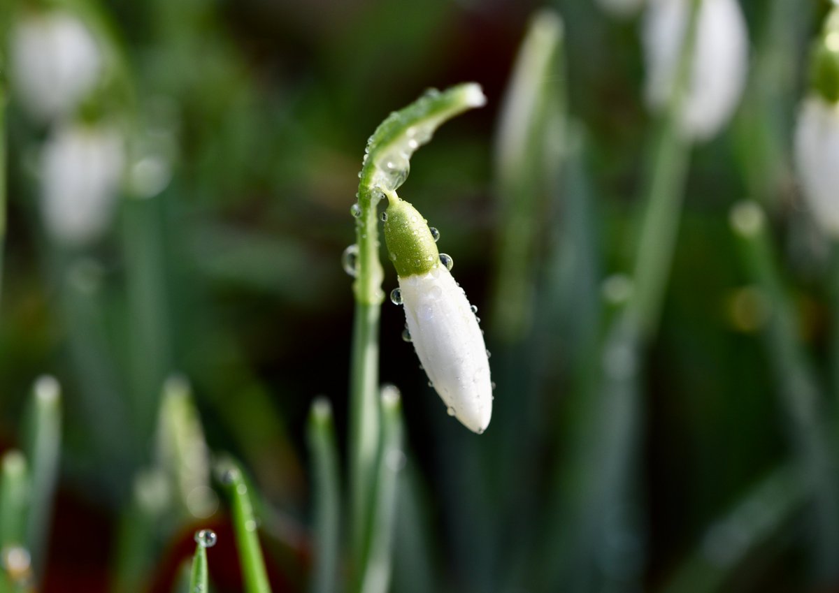 Miranda Moore ☀️ tweet media