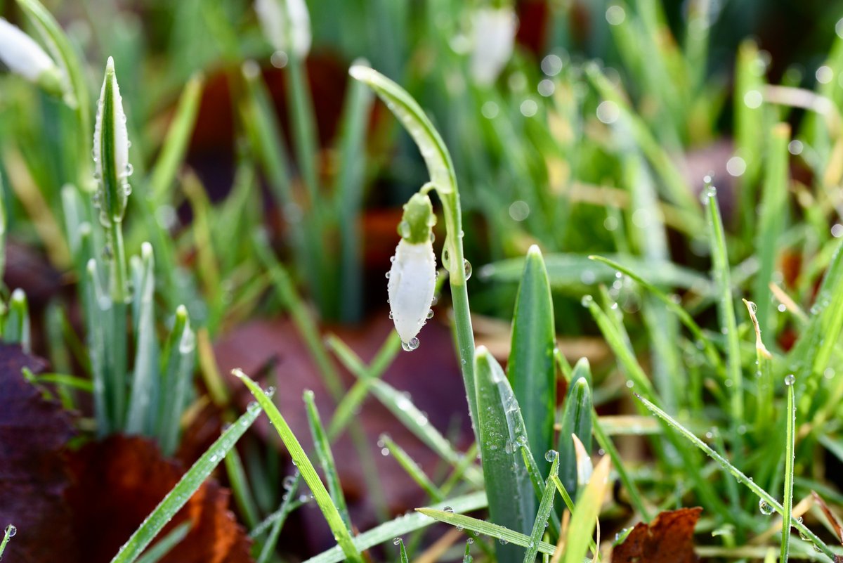 Miranda Moore ☀️ tweet media